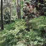 Ξενοδοχείο Le Matin 2*