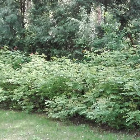 Le Matin Hotel Konstancin-Jeziorna