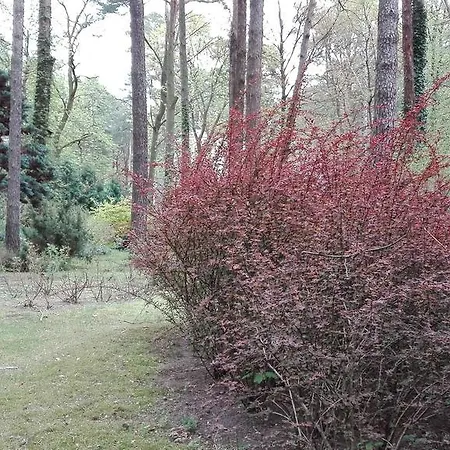 Hotel Le Matin Konstancin-Jeziorna