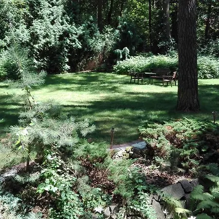 Le Matin Konstancin-Jeziorna