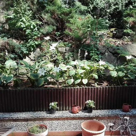 Le Matin Bed and Breakfast