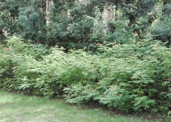 Le Matin Hotel Konstancin-Jeziorna