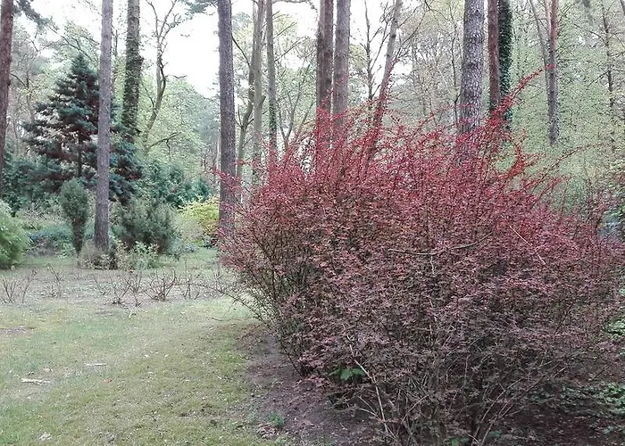 Hotel Le Matin Konstancin-Jeziorna