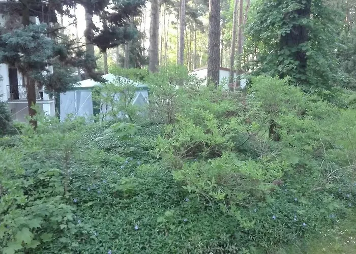 Hotel Le Matin Konstancin-Jeziorna