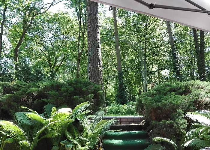 Le Matin Hotel Konstancin-Jeziorna