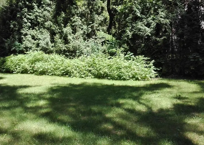 Le Matin Hotel Konstancin-Jeziorna