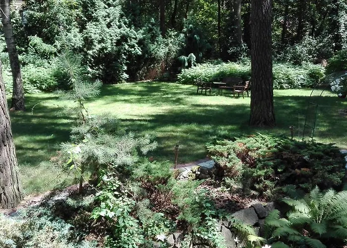 Le Matin Konstancin-Jeziorna