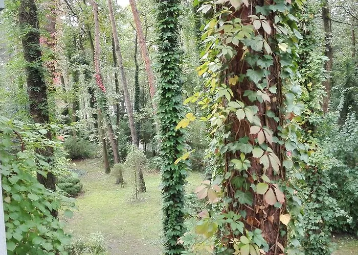 Le Matin Hotel Konstancin-Jeziorna